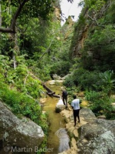 Nationalpark Madagaskar