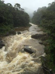 Spezialreservate auf Madagaskar