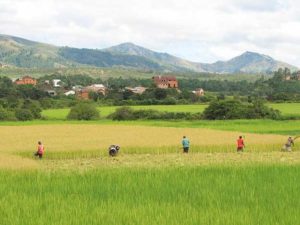 Ambositra-Provinz von Fianarantsoa