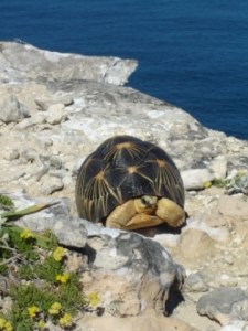 Cap Sainte Marie