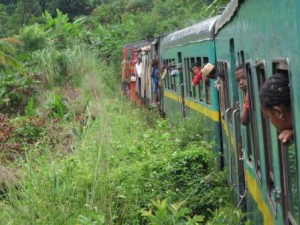 On the train to Manakara