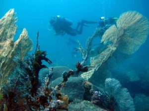 Diving on Nosy Be