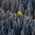 Tsingy of Bemaraha National Park