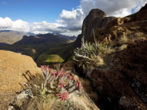 andringitra-national-park-madagascar