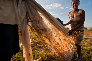 Grasshoppers in Madagascar