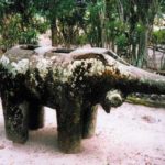 The elephant of Ambohitsara