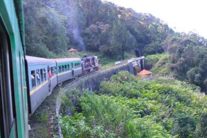 Der Dschungel Express in Madagaskar