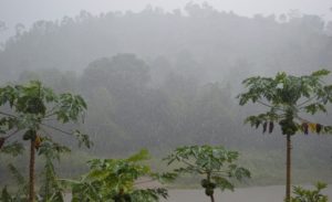 rain in Madagascar