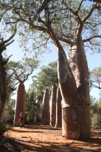 schönste Reiseroute durch Madagaskar