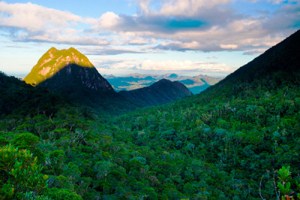 parque nacional marojejy