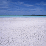 Der Süden von Madagaskar-das Land der Dornenmenschen