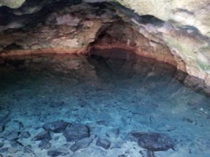 Grotto with blind fish