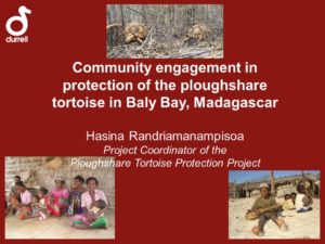 Ploughshare turtle protection program