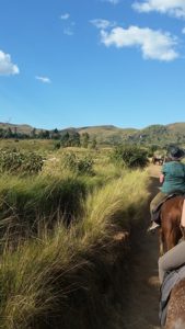 Horse riding in Madagascar