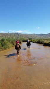 Horse riding in Madagascar