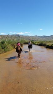 Horse riding in Madagascar