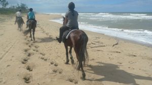 Horse riding on the beach in Madagascar