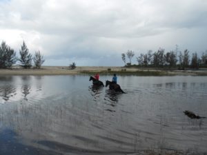 Horse riding in the east of Madagascar