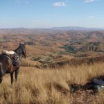 11 days horse riding tour