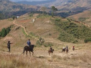 Horseback riding tours in Madagascar