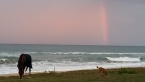 Horseback Riding on the Indian Ocean