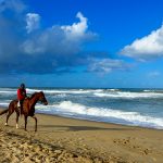 Horse & Rider on the slopes in Madagascar