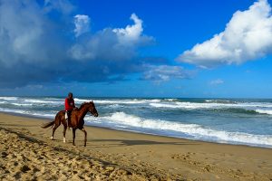 Indian Ocean Horse Riding
