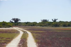 Piste Westküste Madagaskar