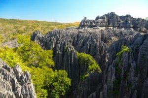 Tsingy from Bemaraha