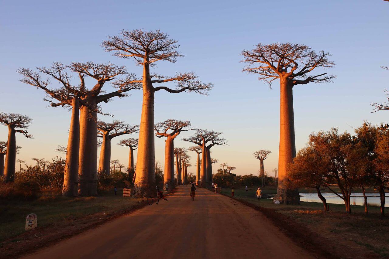 Urlaub auf Madagaskar Entdecken Sie die Vielfalt der Natur & Kultur