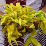 Ylang-Ylang Flowers