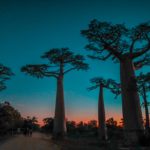 Menabe-der Westen von Madagaskar