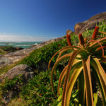 The deep & dry south of Madagascar