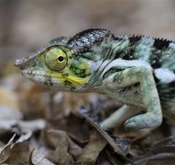 Norden von Madagaskar