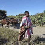 Madagascar: Drought and food shortages in the extreme south