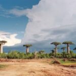 Best time to visit Madagascar