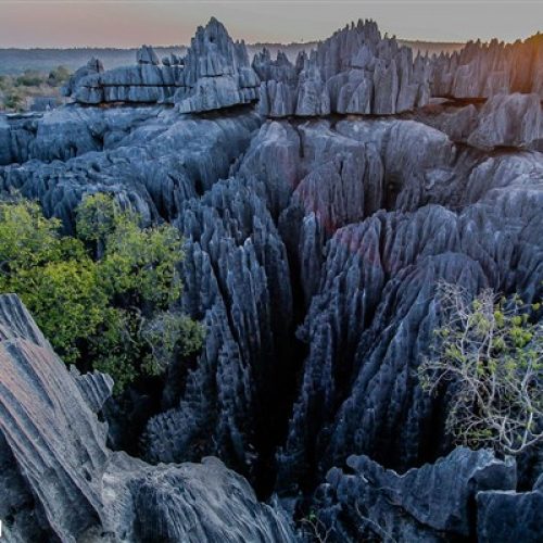 Tsingy from Bemaraha