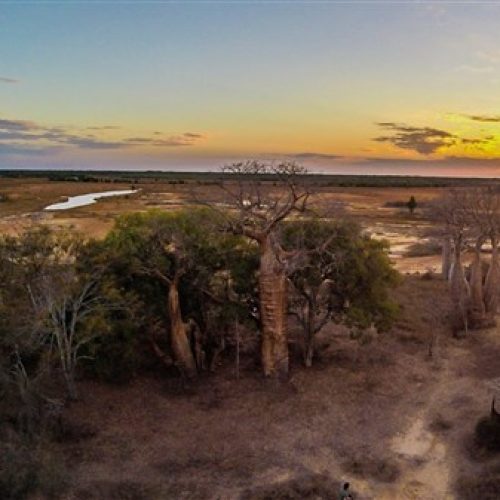 Lodge de la saline Baobabs