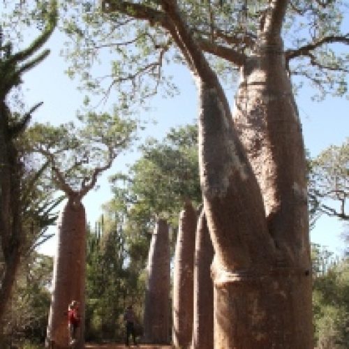 schönste Reiseroute durch Madagaskar