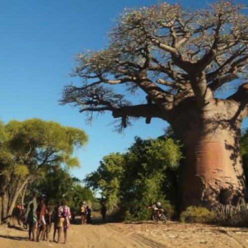 Motorrad Touren auf Madagaskar